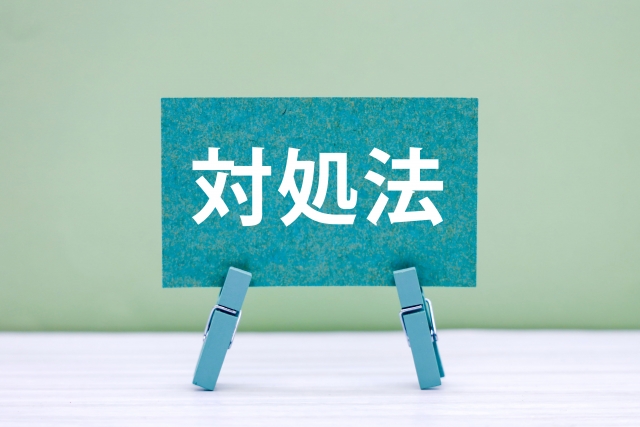 スズメバチの巣を見つけた時の対処法