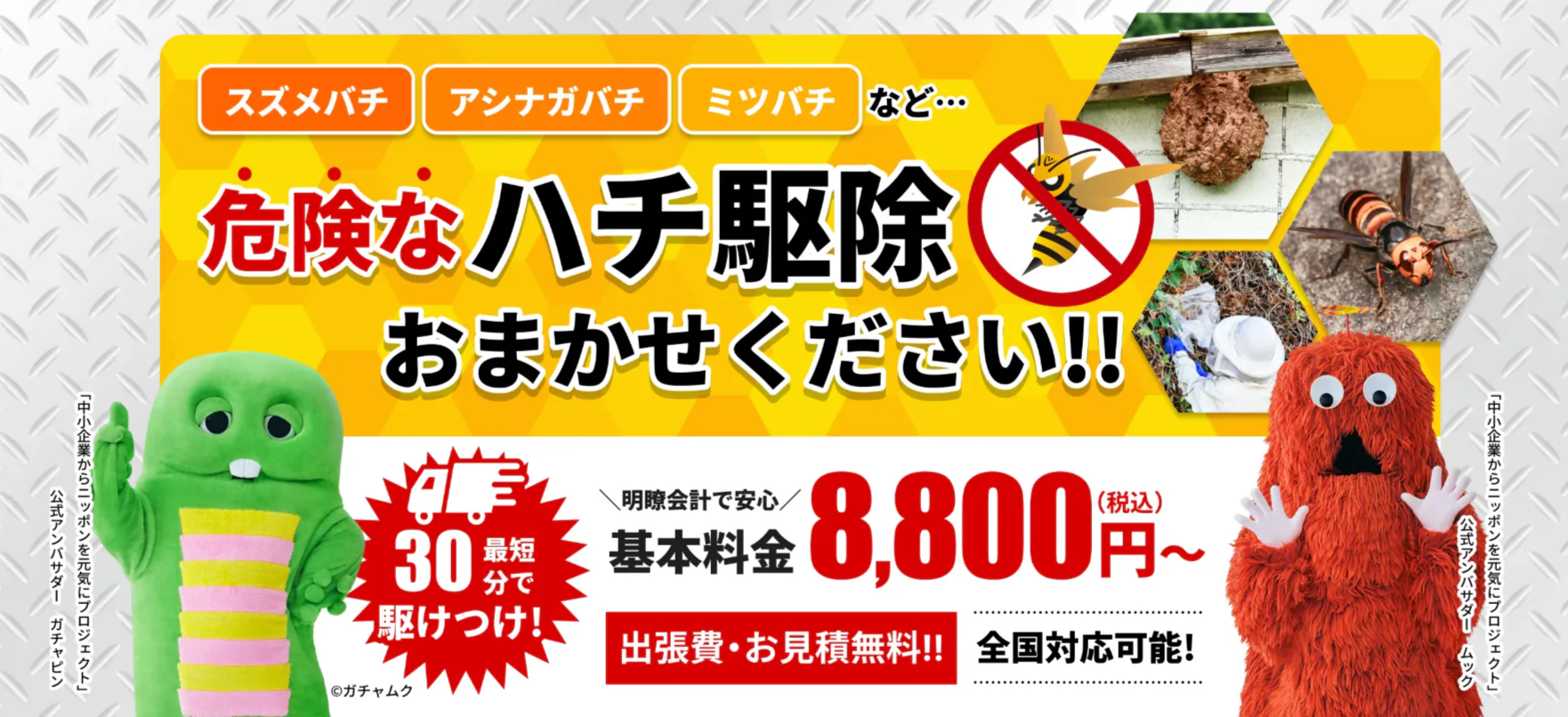 スズメバチの巣を安全に駆除するなら『ハチ専門駆除クリーンライフ』がおすすめ