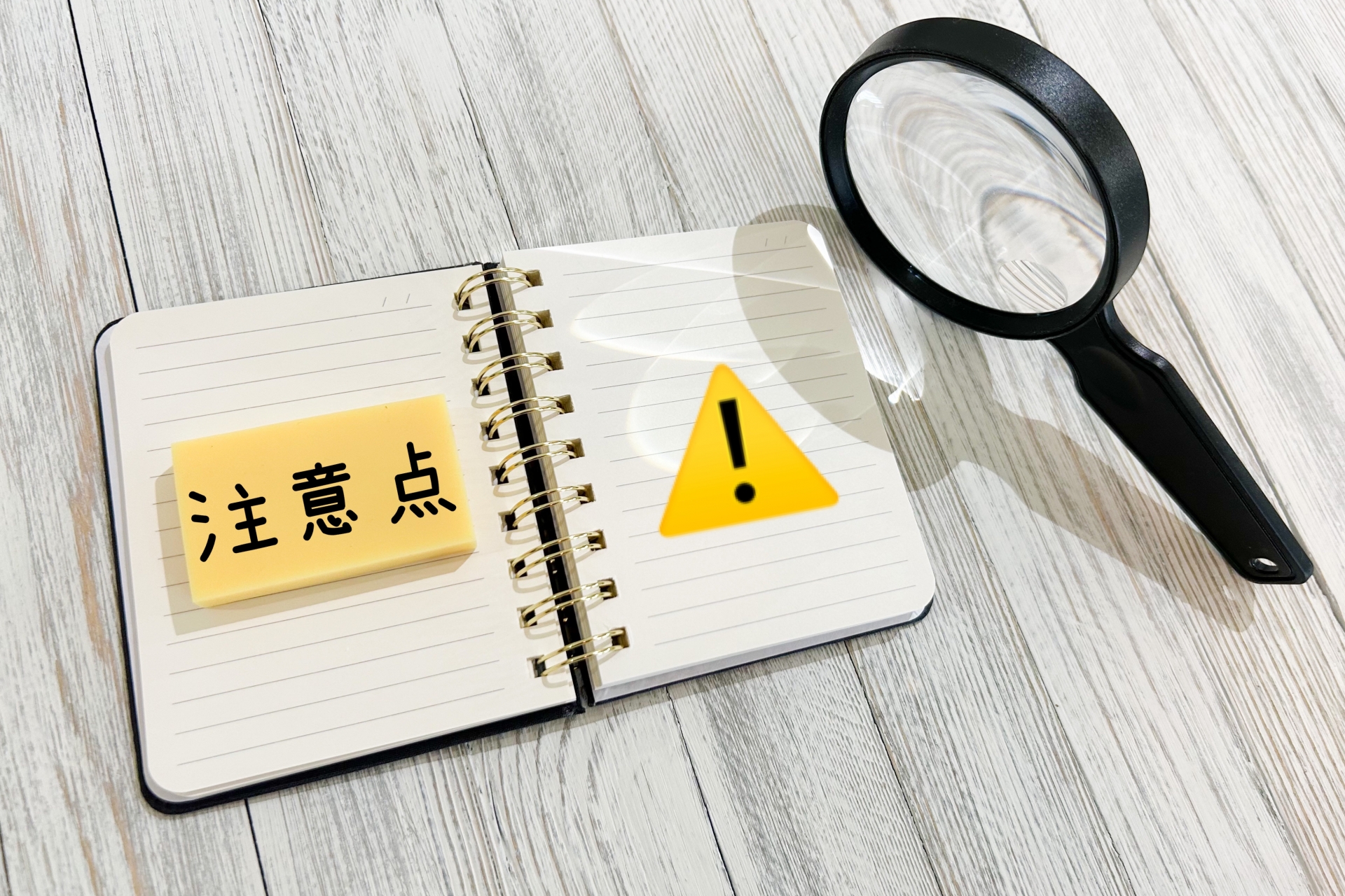 夜に家の中でスズメバチを追い出す際の注意点