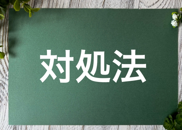 スズメバチを家の中で見失った場合の対処法