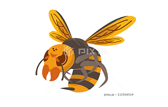 蜂の画像