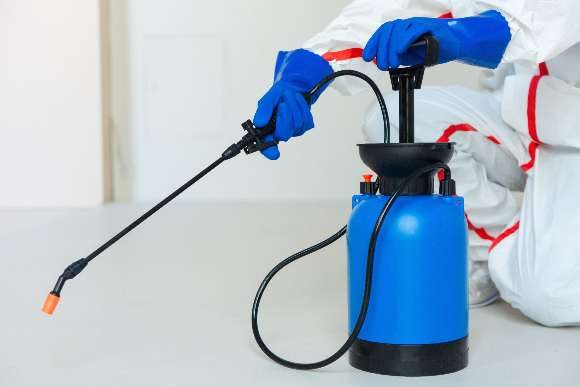 アシナガバチ駆除の業者依頼