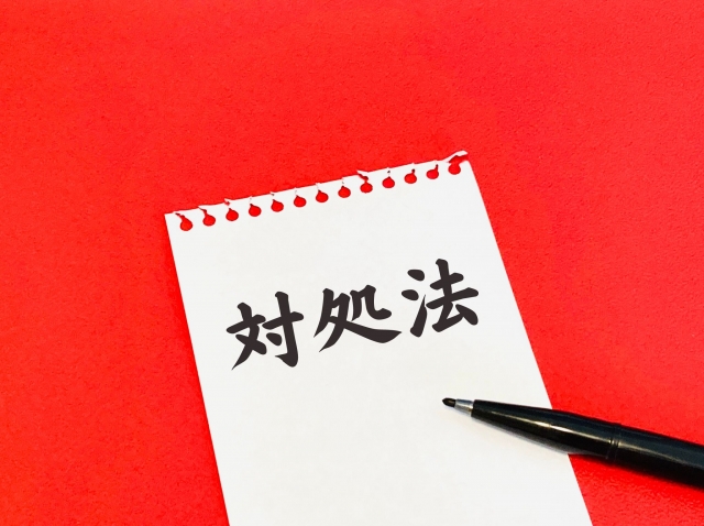 土で作られた蜂の巣への対処法