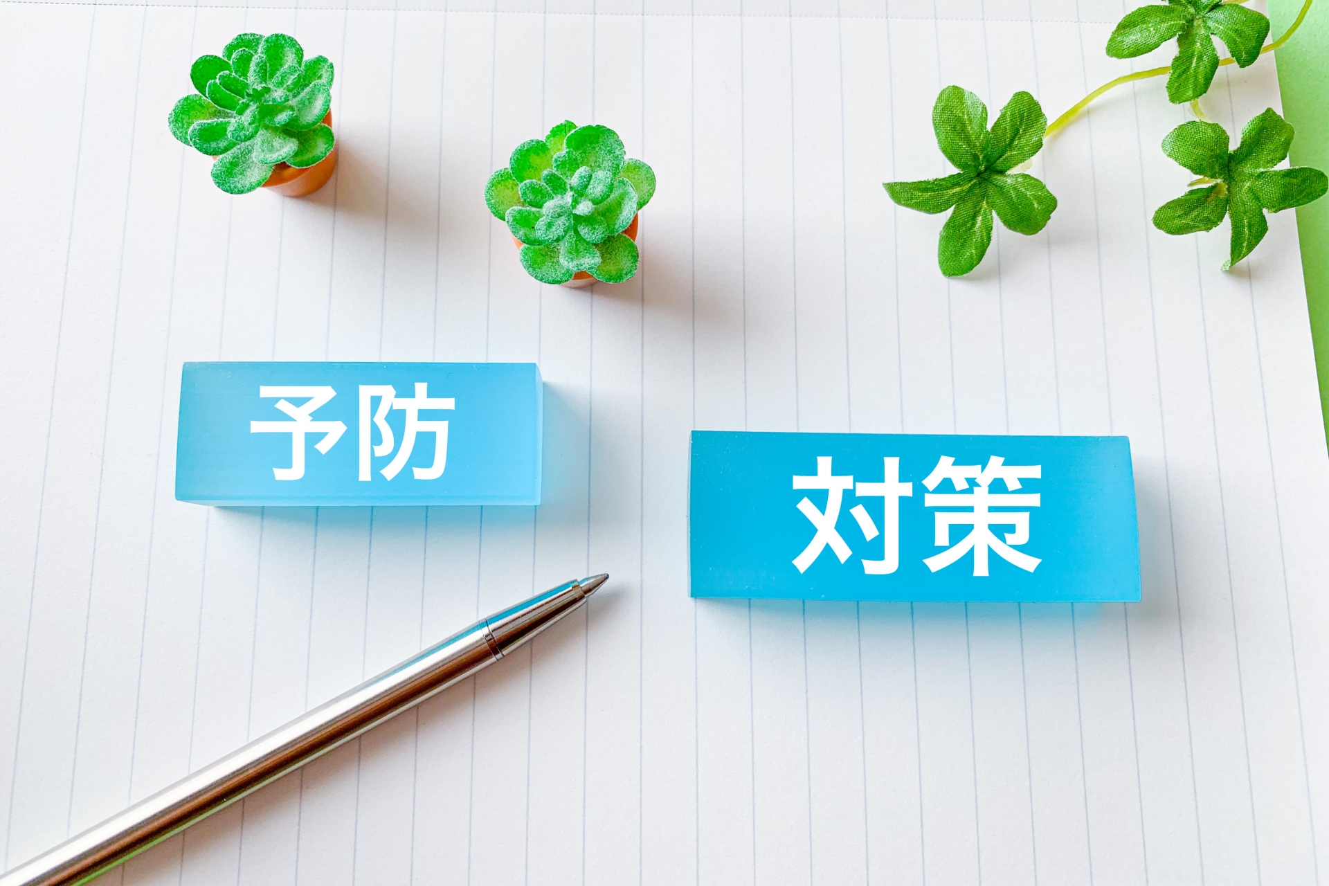 巣を作らせないための予防策4選