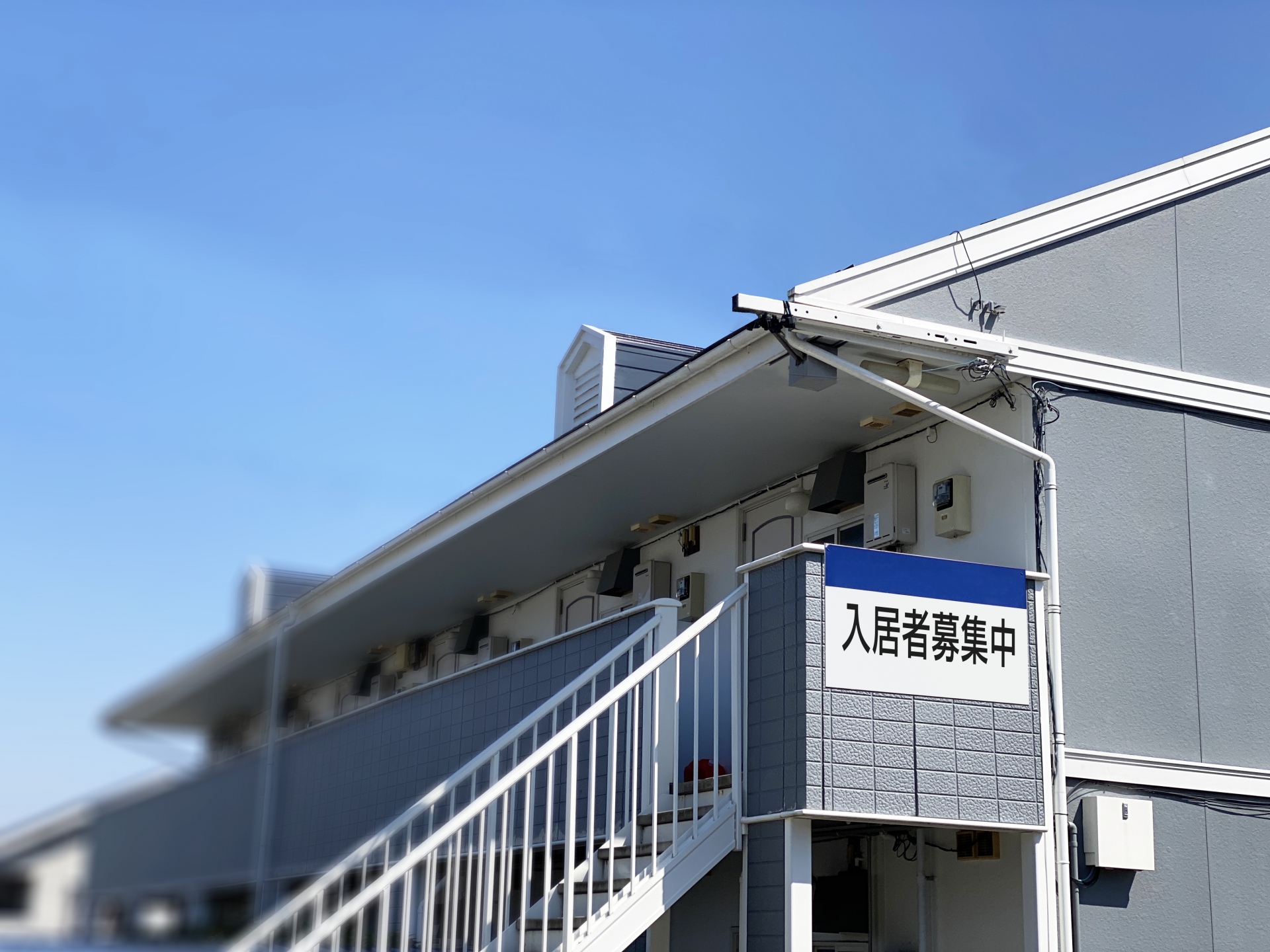 蜂の巣を見つけたら大家と管理会社に連絡を！