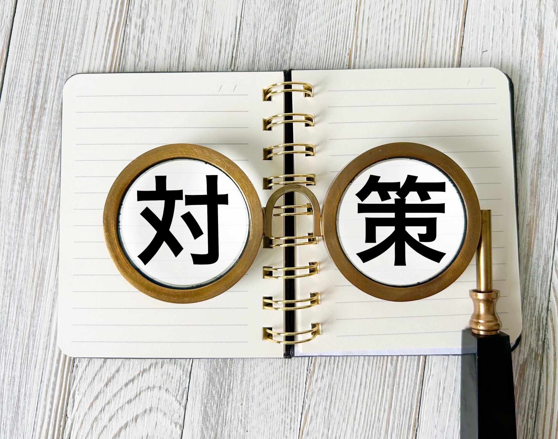 冬に済ませておきたい蜂の巣を作らせない対策