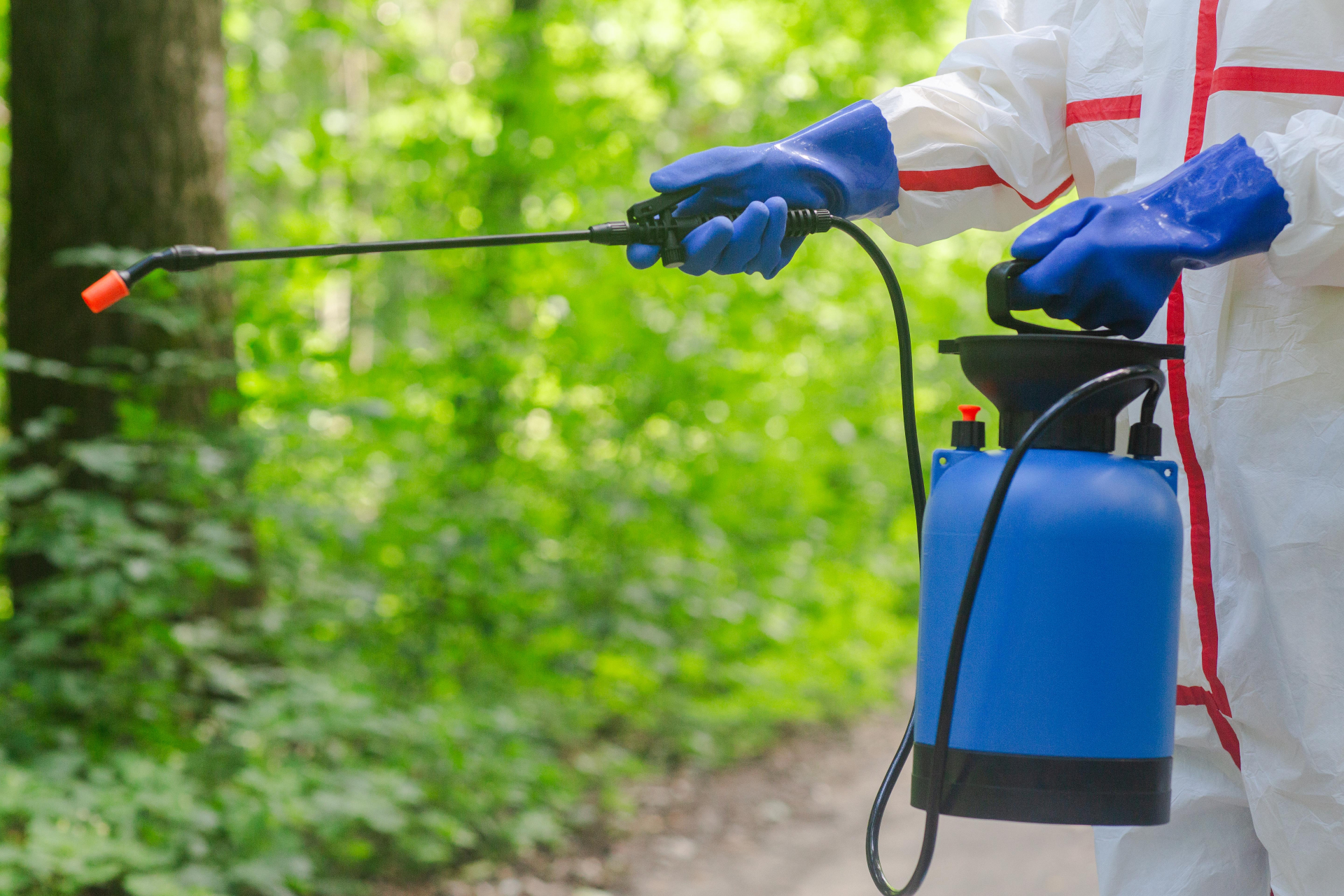 雨の日の駆除は蜂駆除専門業者に依頼するのがおすすめ