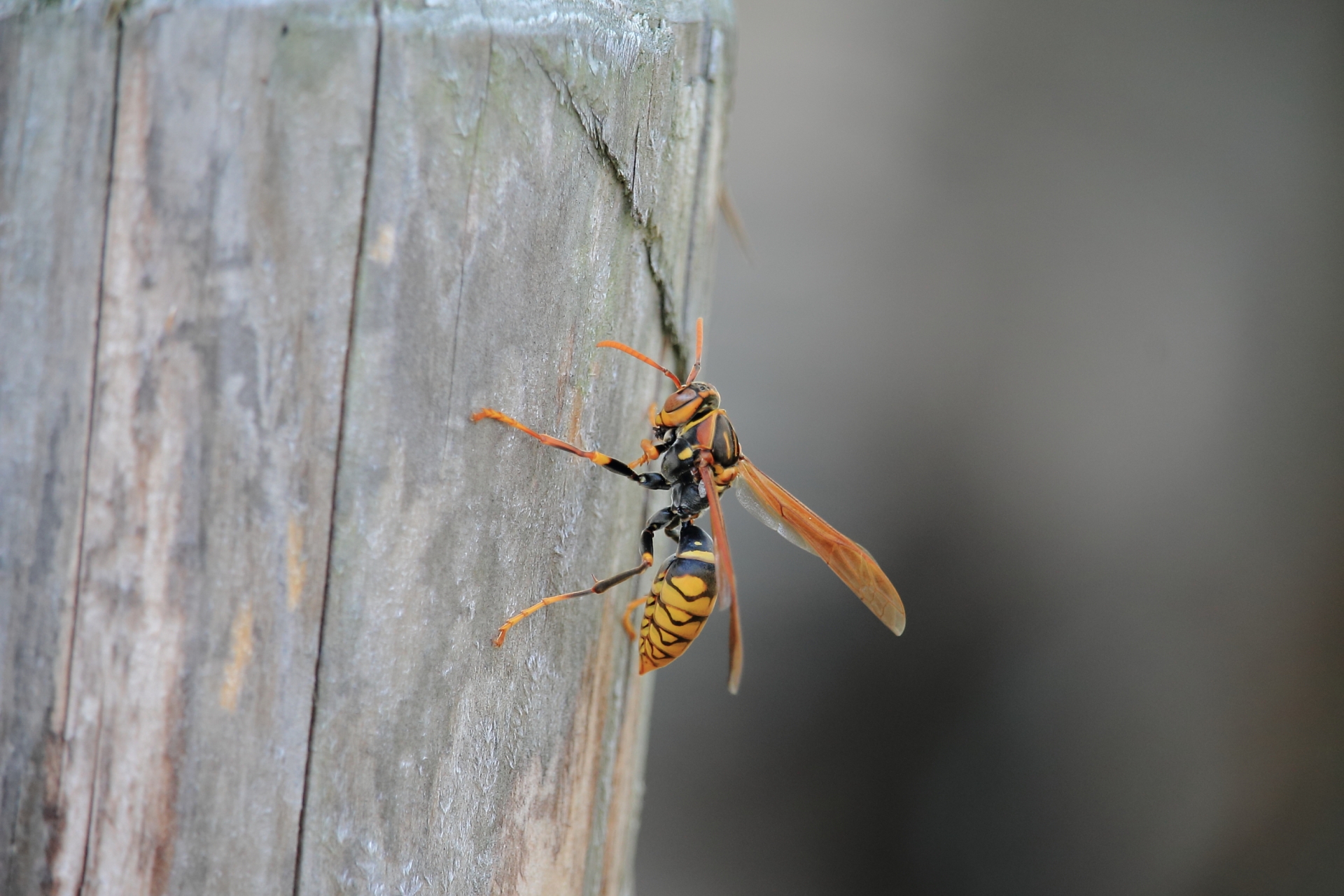 冬でも油断できない理由