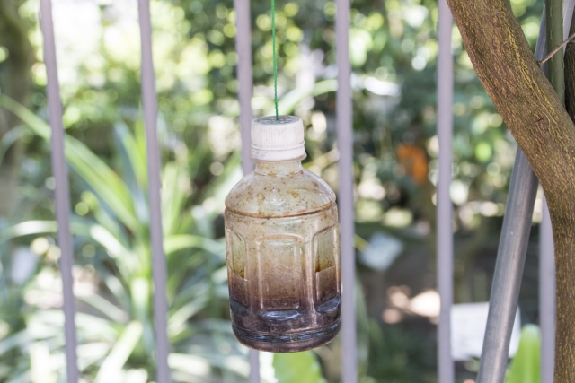 木酢液を使用したスズメバチよけ方法