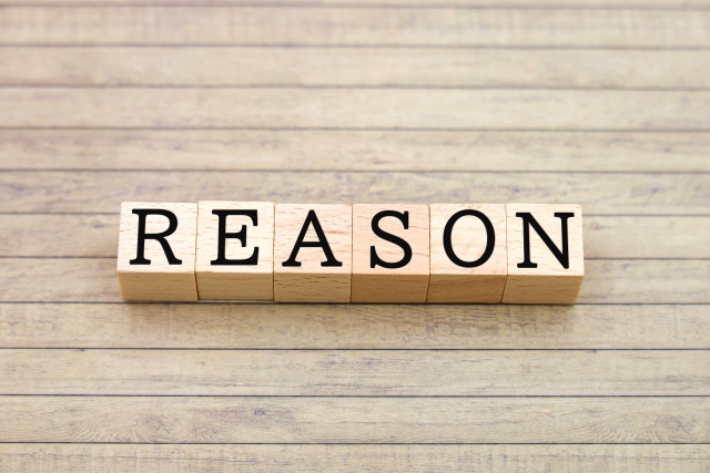 蜂の巣が「同じ場所」に繰り返し作られる4つの理由