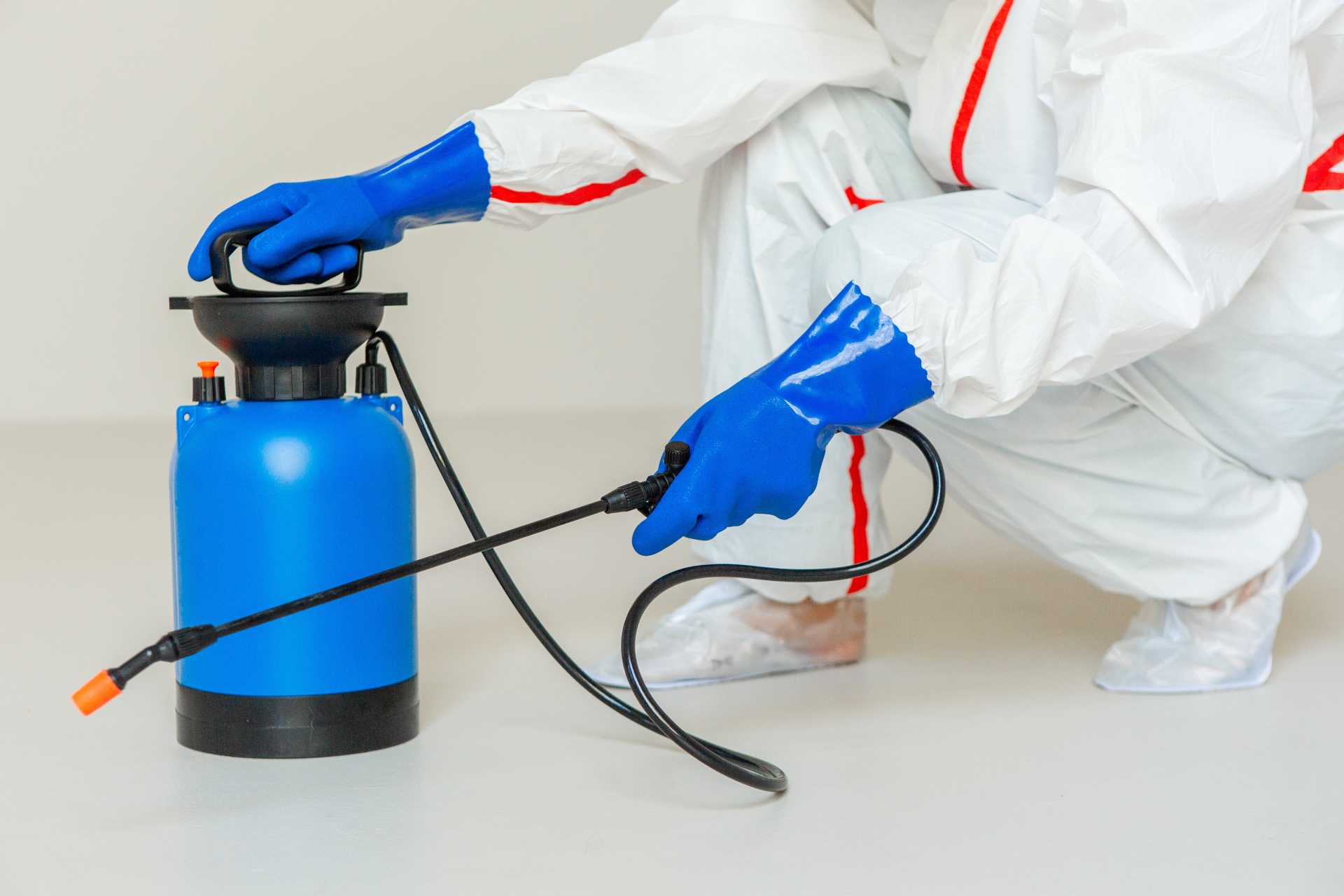 安全に駆除するなら蜂駆除専門業者に相談しよう