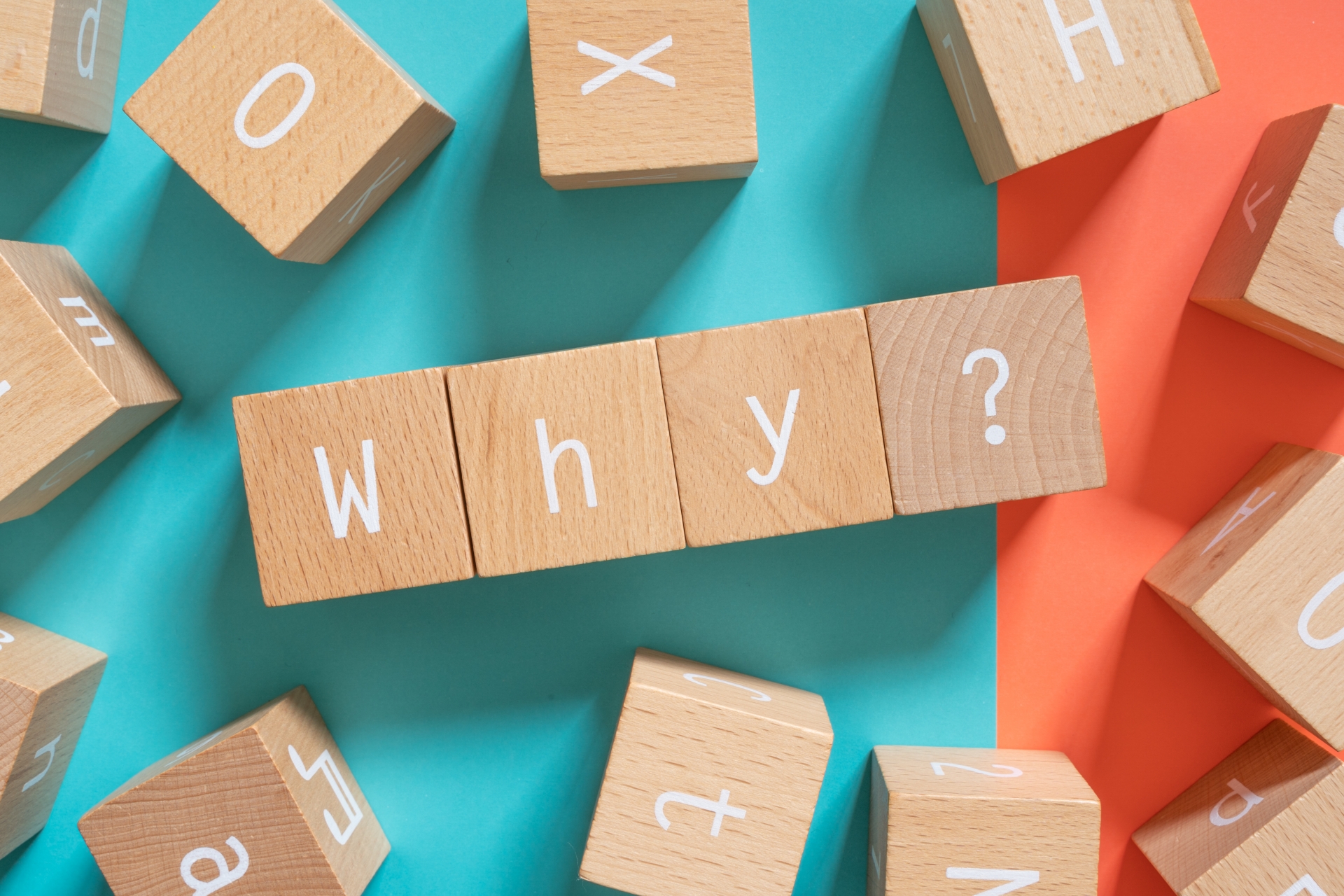 女王蜂を駆除すべき理由