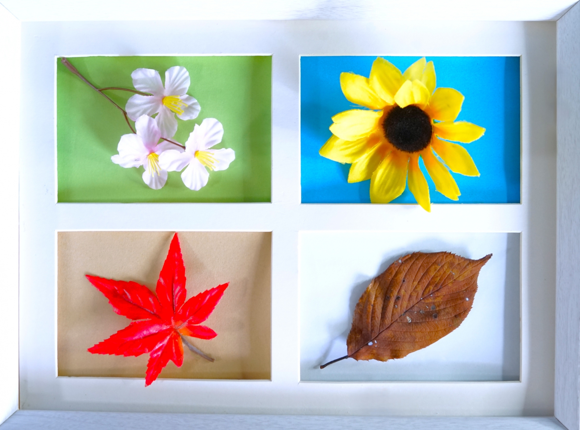 【シーズン別】女王蜂の過ごし方